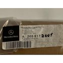 Plate AMG A2058172001